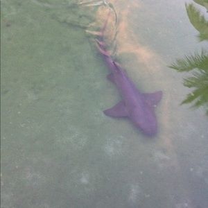 Meet your Posher, Alessandra